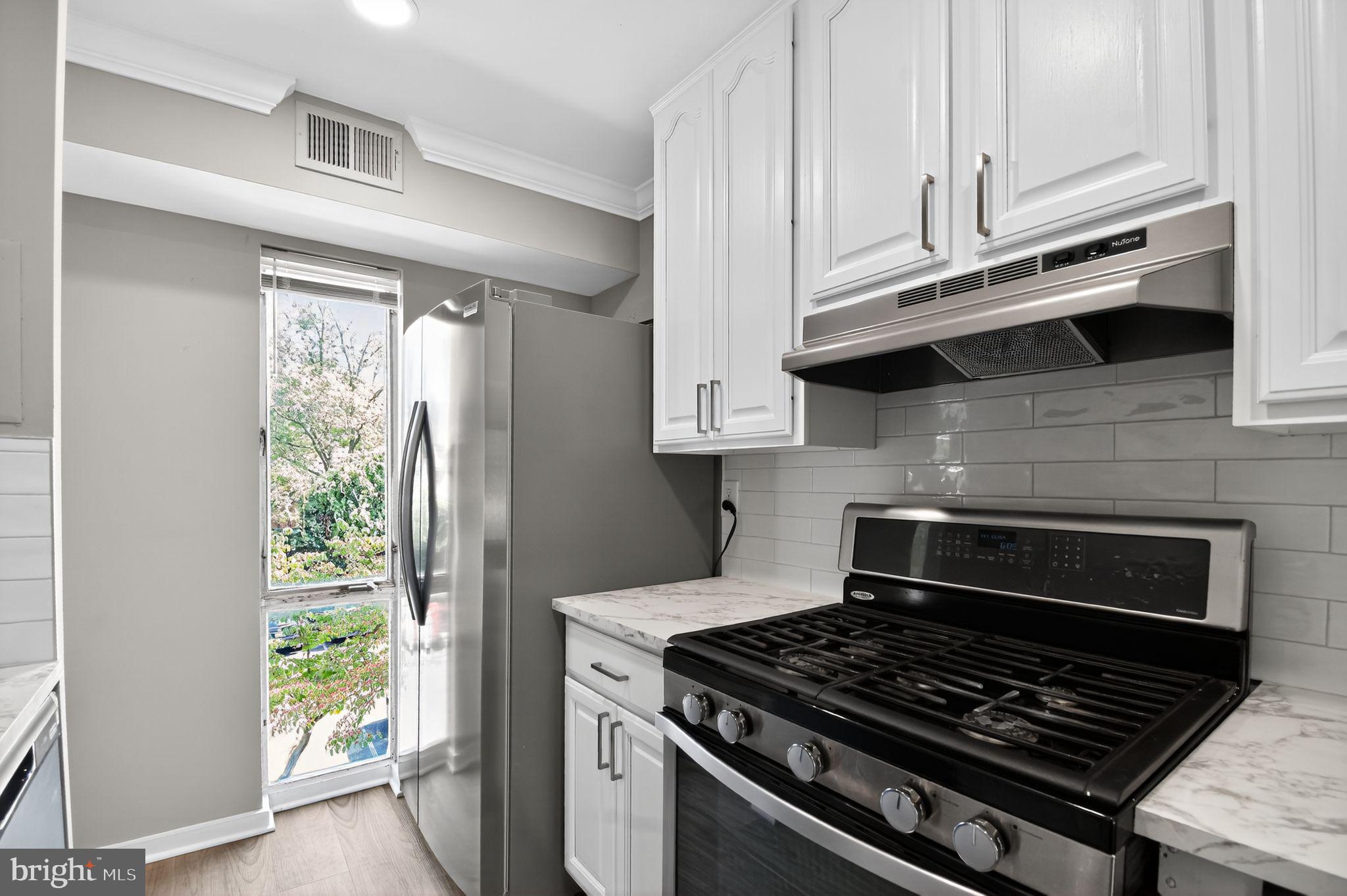 3234 Hewitt Avenue, Unit 34B Silver Spring, MD 20906 - Photo 10 of 21 Kitchen