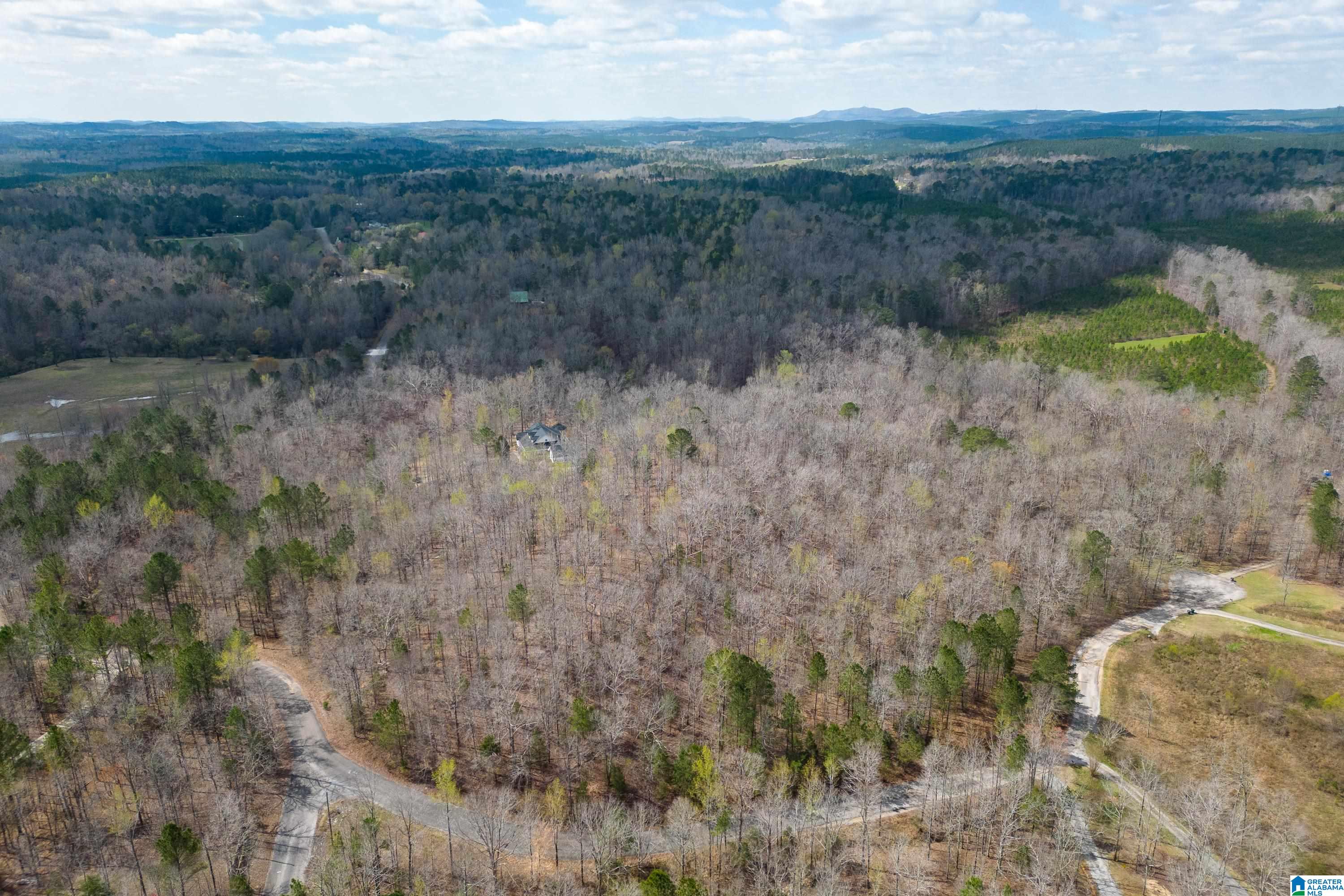707 Turkey Ridge Road Ragland, AL 35131 - Photo 64 of 68