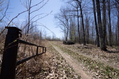 Xxx East Beauregard Lake Road Gordon, WI 54838 - Photo 2 of 35