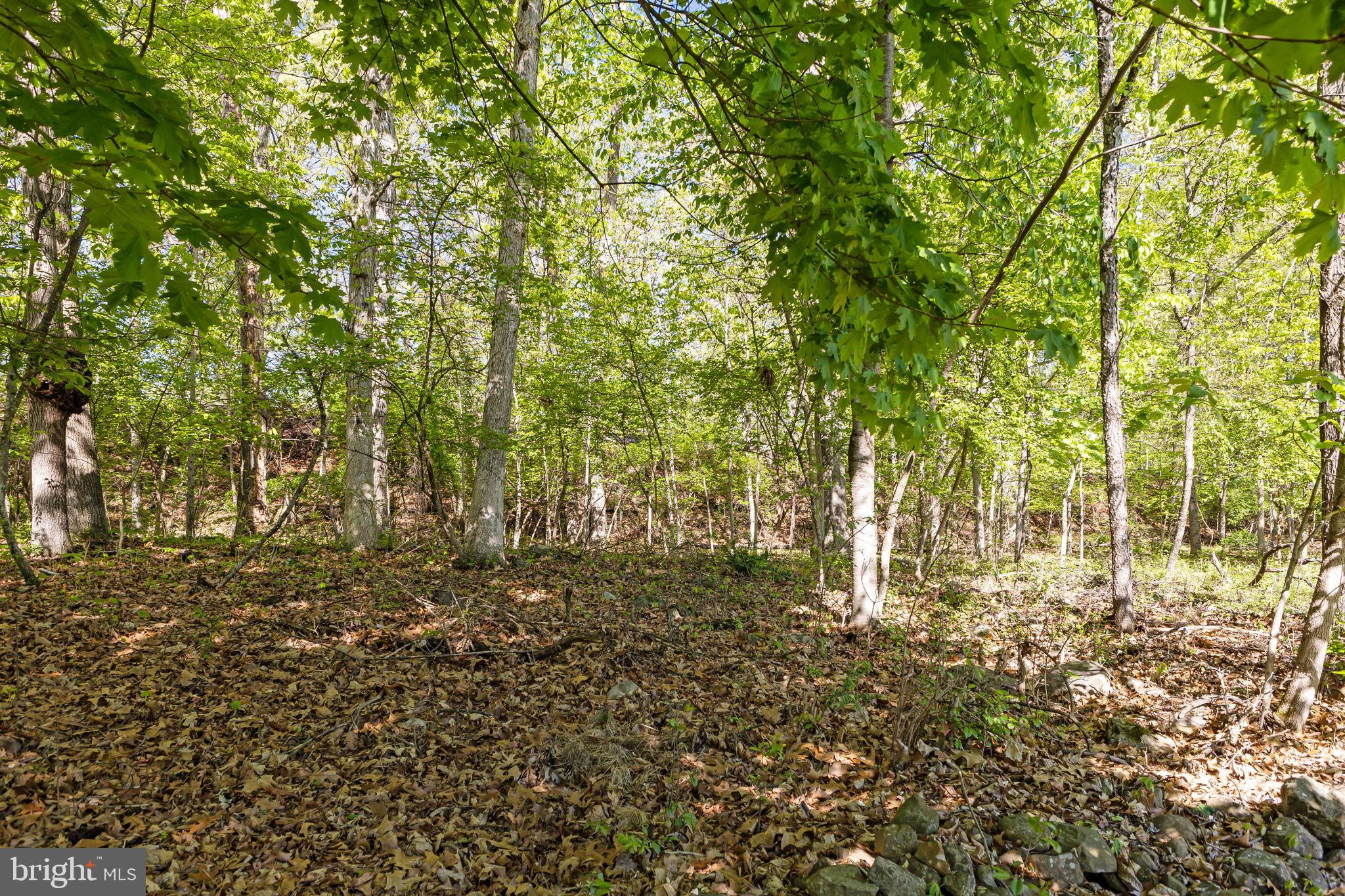940 Boyds School Road Gettysburg, PA 17325 - Photo 23 of 68