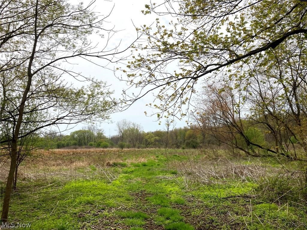 V/l Schocalog Road Akron, OH 44320 - Photo 1 of 7 Expansive open field surrounded by mature trees