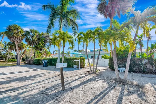 a view of a garden with a tree