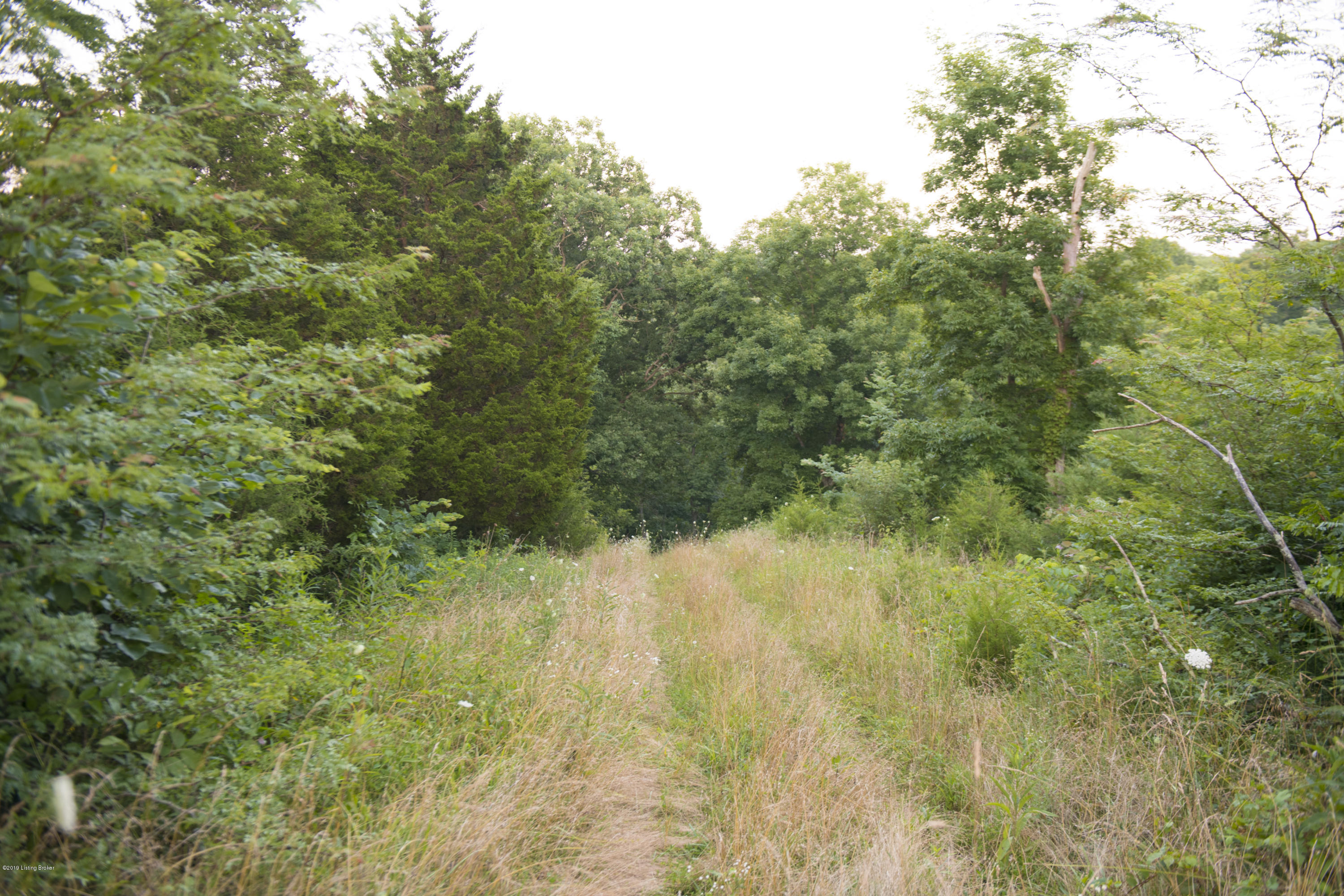 0 Holy Water Branch Road Pleasureville, KY 40057 - Photo 27 of 30 wooded view