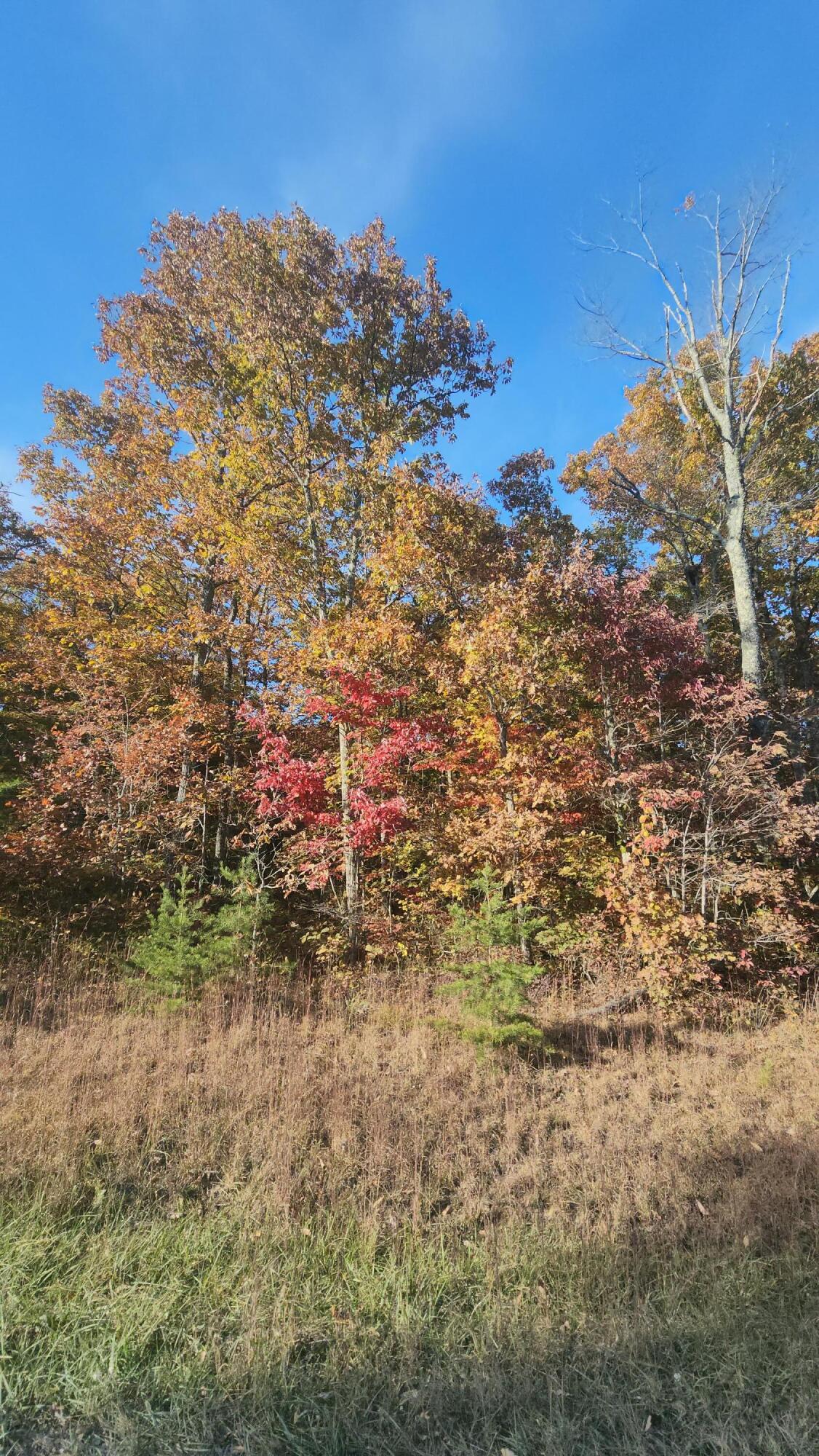 75 Hunters Trail Way, Unit 75 76 Altamont, TN 37301 - Photo 17 of 52 20221021_160347