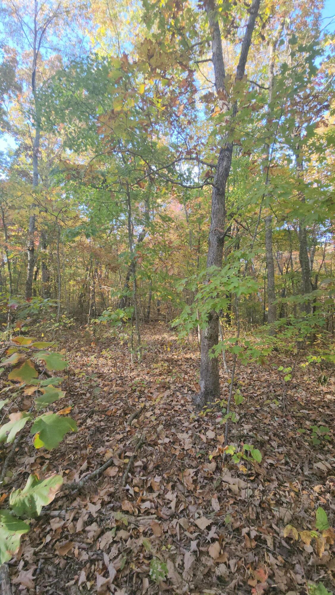 75 Hunters Trail Way, Unit 75 76 Altamont, TN 37301 - Photo 20 of 52 20221021_160208