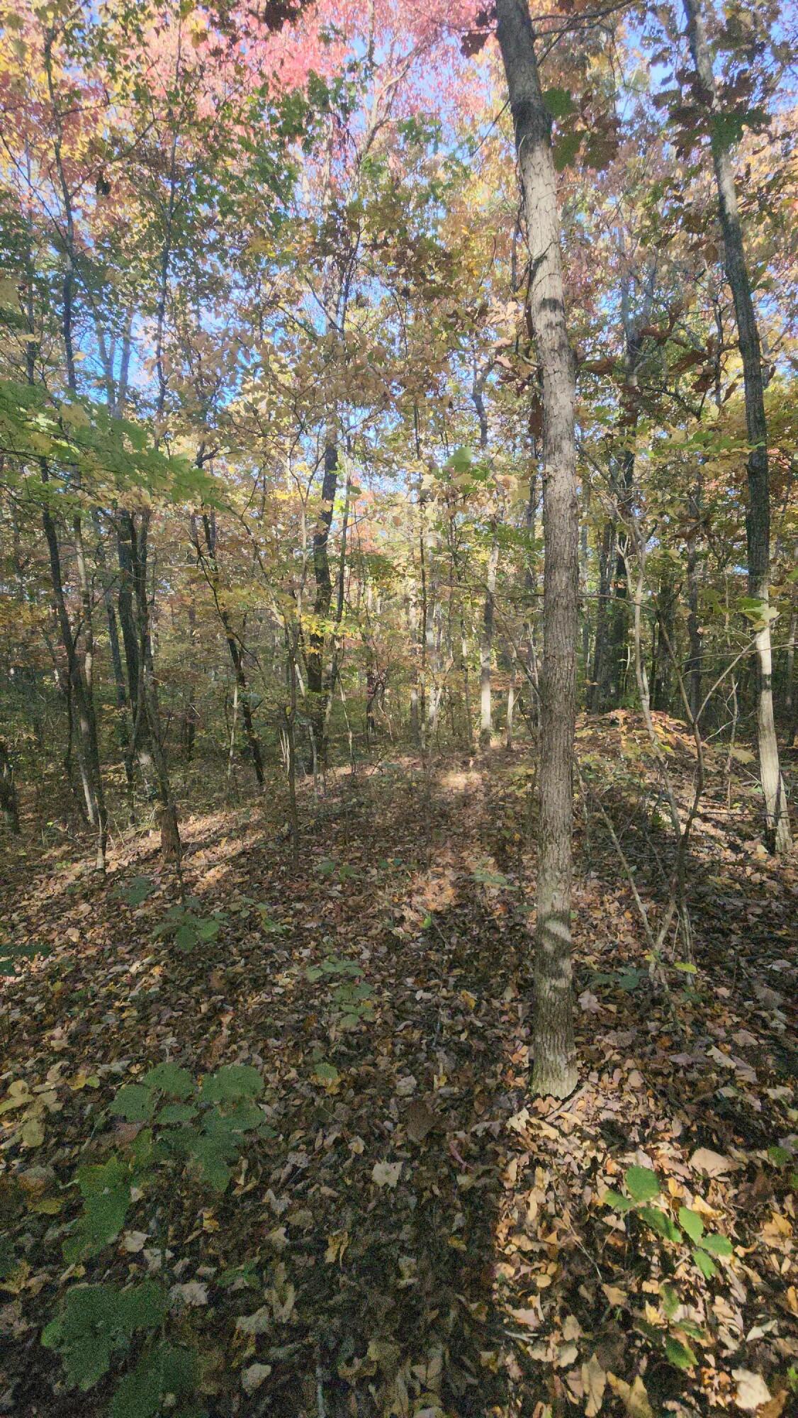 75 Hunters Trail Way, Unit 75 76 Altamont, TN 37301 - Photo 22 of 52 20221021_160002