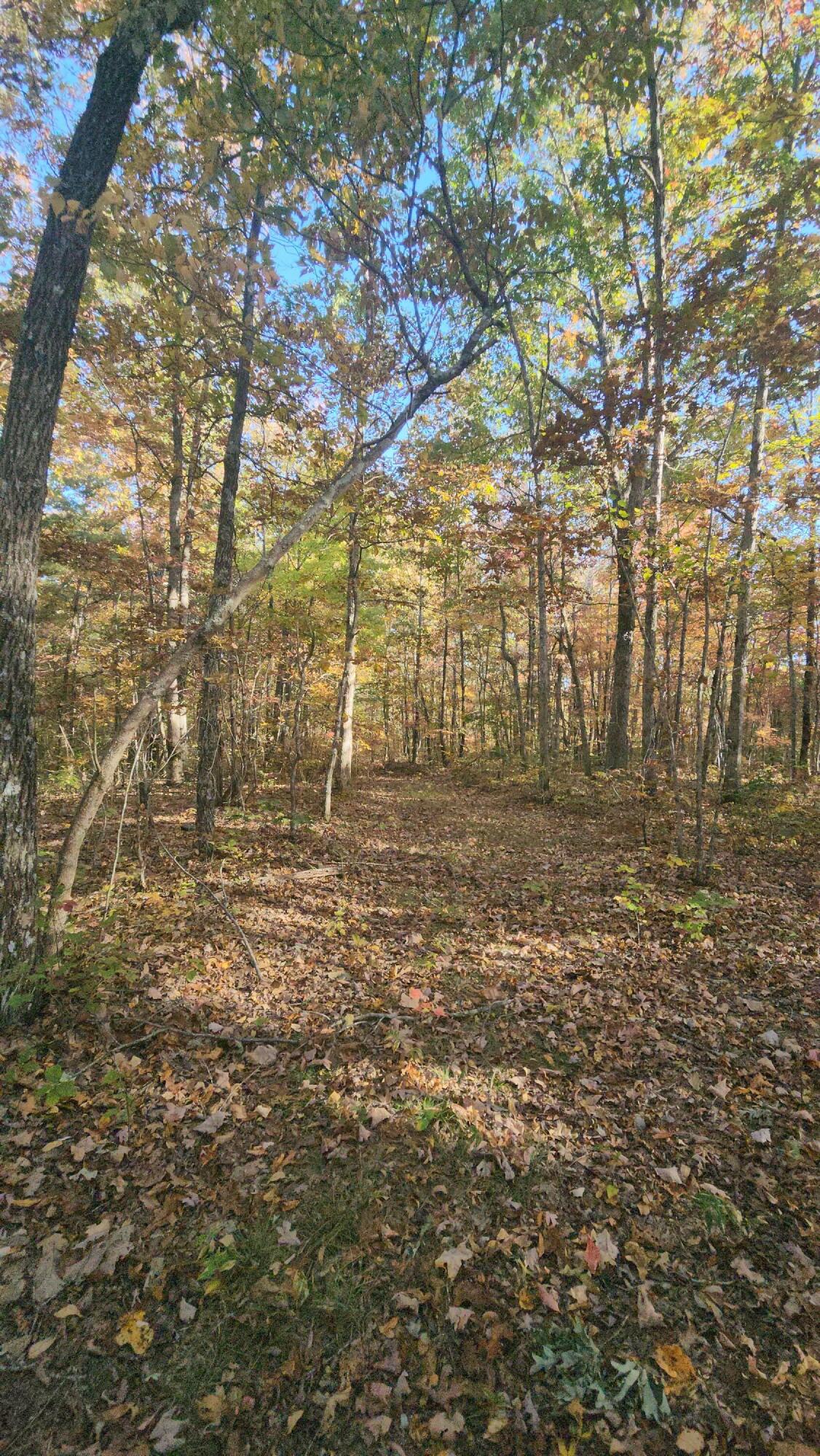 75 Hunters Trail Way, Unit 75 76 Altamont, TN 37301 - Photo 24 of 52 20221021_155841