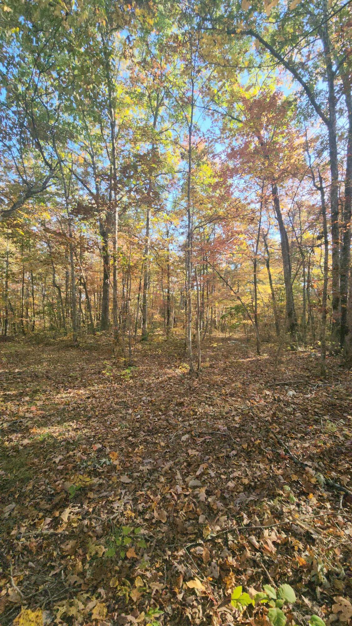 75 Hunters Trail Way, Unit 75 76 Altamont, TN 37301 - Photo 25 of 52 20221021_155839