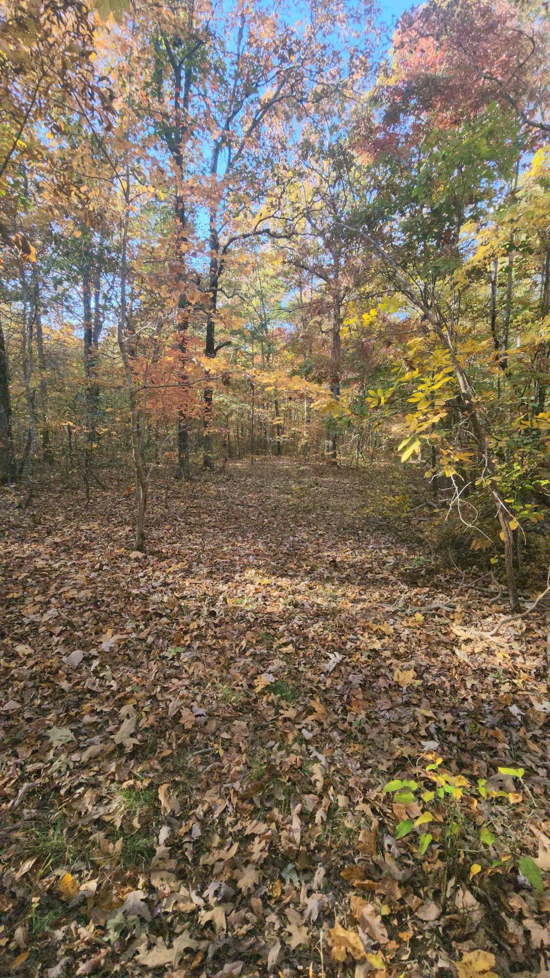 75 Hunters Trail Way, Unit 75 76 Altamont, TN 37301 - Photo 26 of 52 20221021_155835