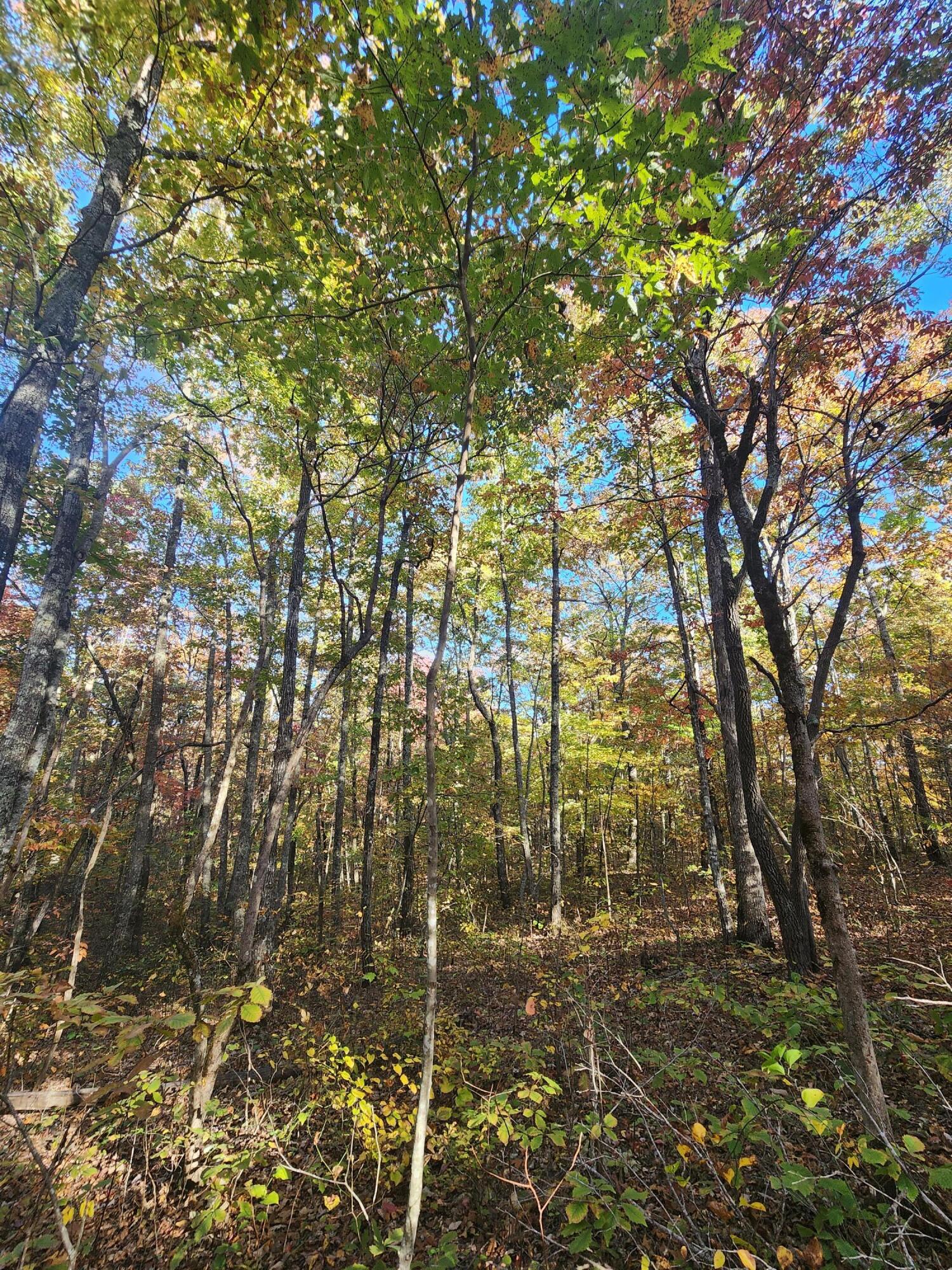 75 Hunters Trail Way, Unit 75 76 Altamont, TN 37301 - Photo 28 of 52 20221021_155758