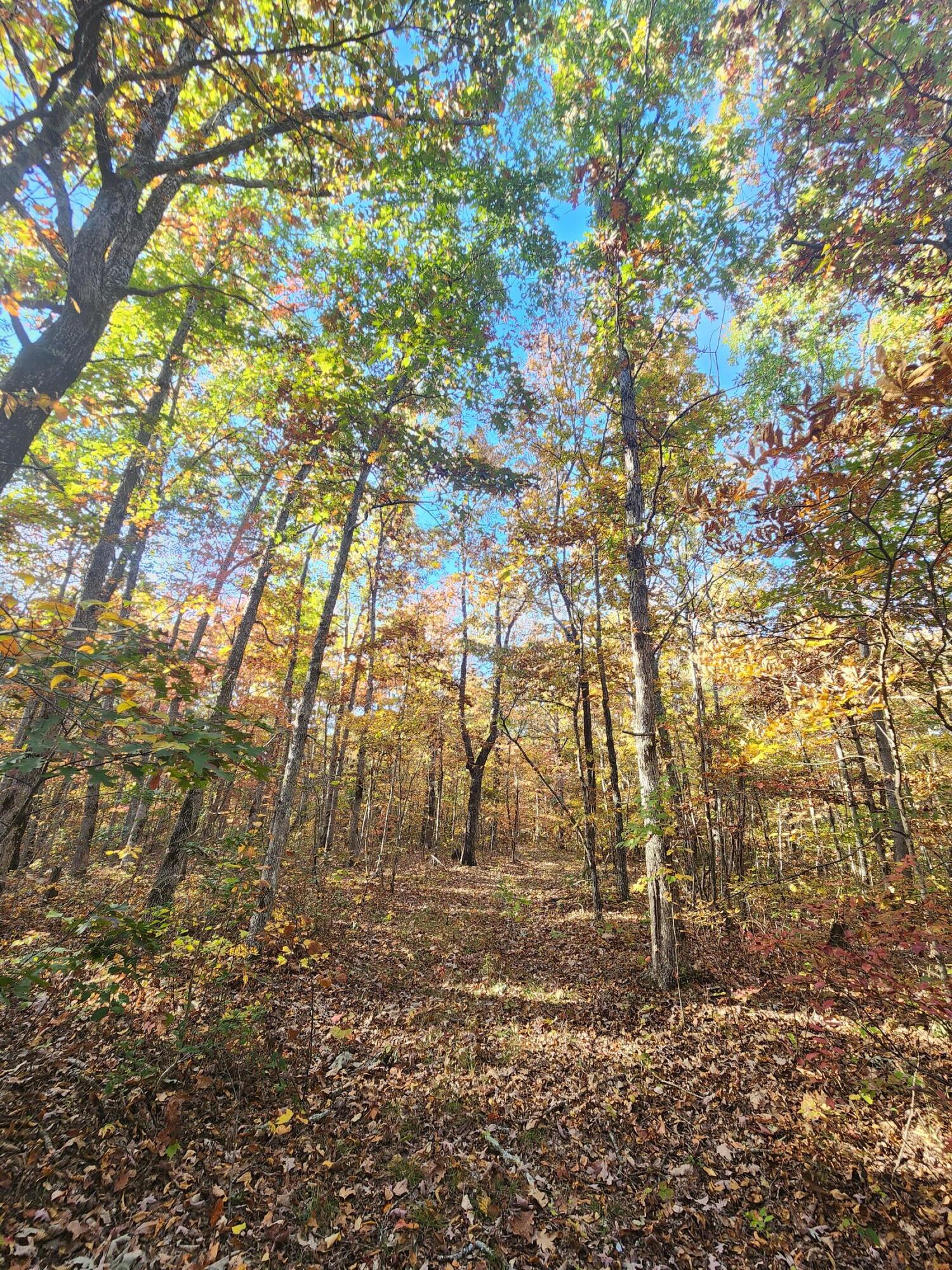 75 Hunters Trail Way, Unit 75 76 Altamont, TN 37301 - Photo 30 of 52 20221021_155652