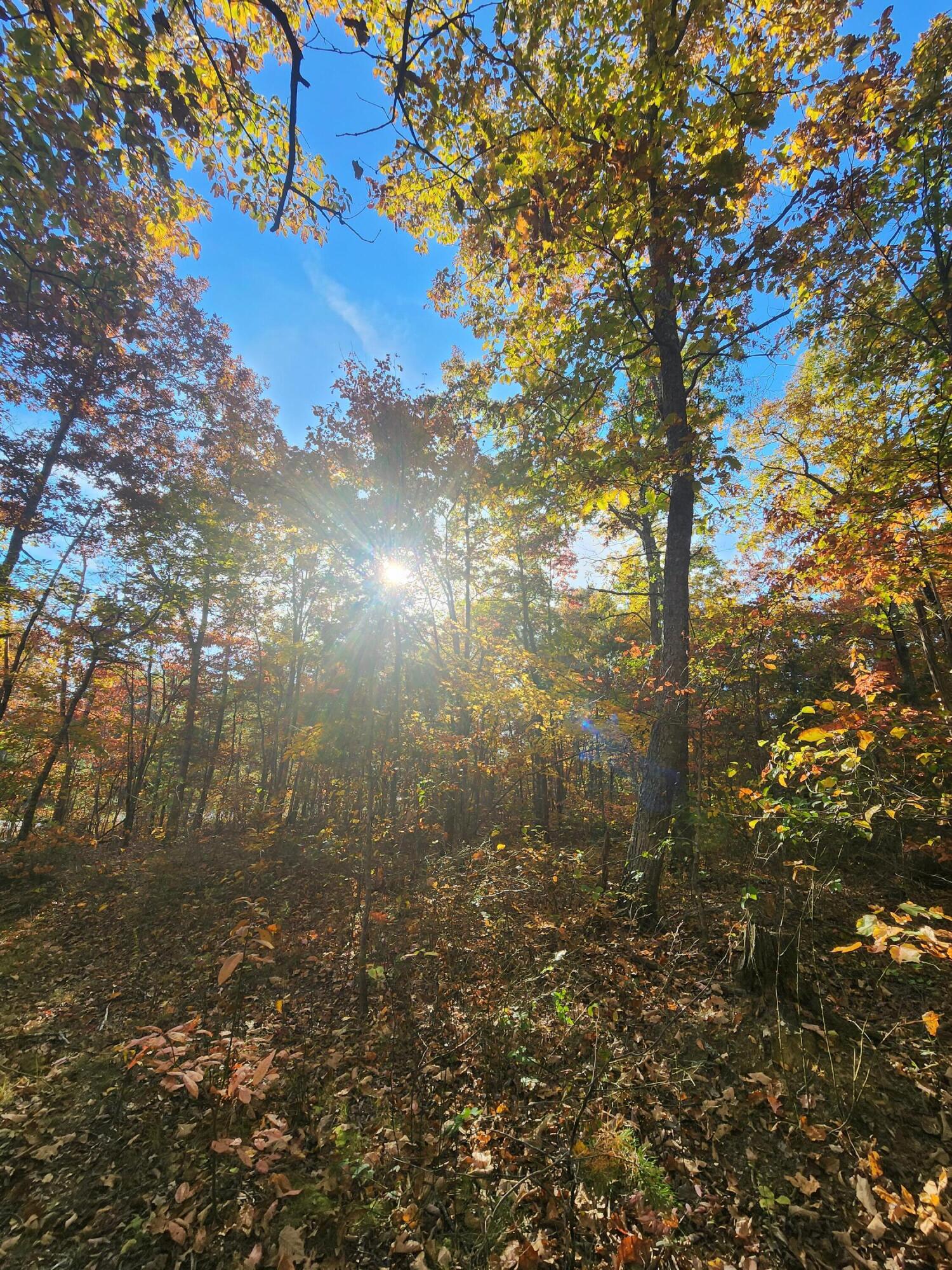 75 Hunters Trail Way, Unit 75 76 Altamont, TN 37301 - Photo 33 of 52 20221021_155516