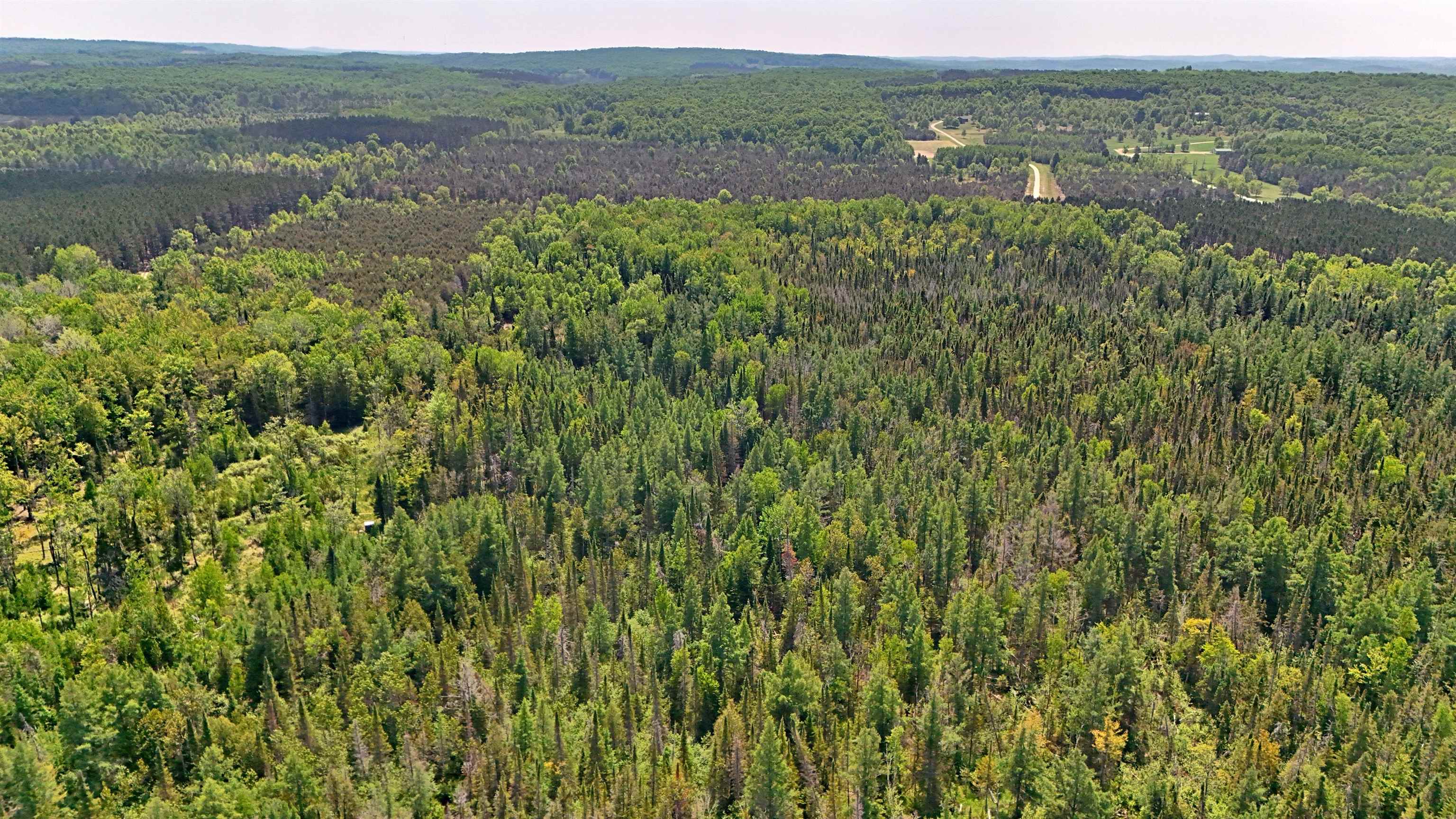 0 West Moorestown Road Manton, MI 49663 - Photo 13 of 25 Gallery Image 13