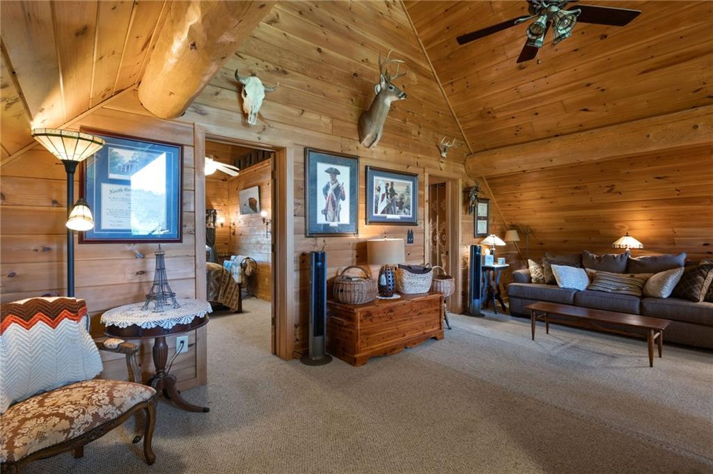 103 Twin Lakes Road Blue Ridge, GA 30513 - Photo 40 of 71 a outdoor living space with couch and a potted plant