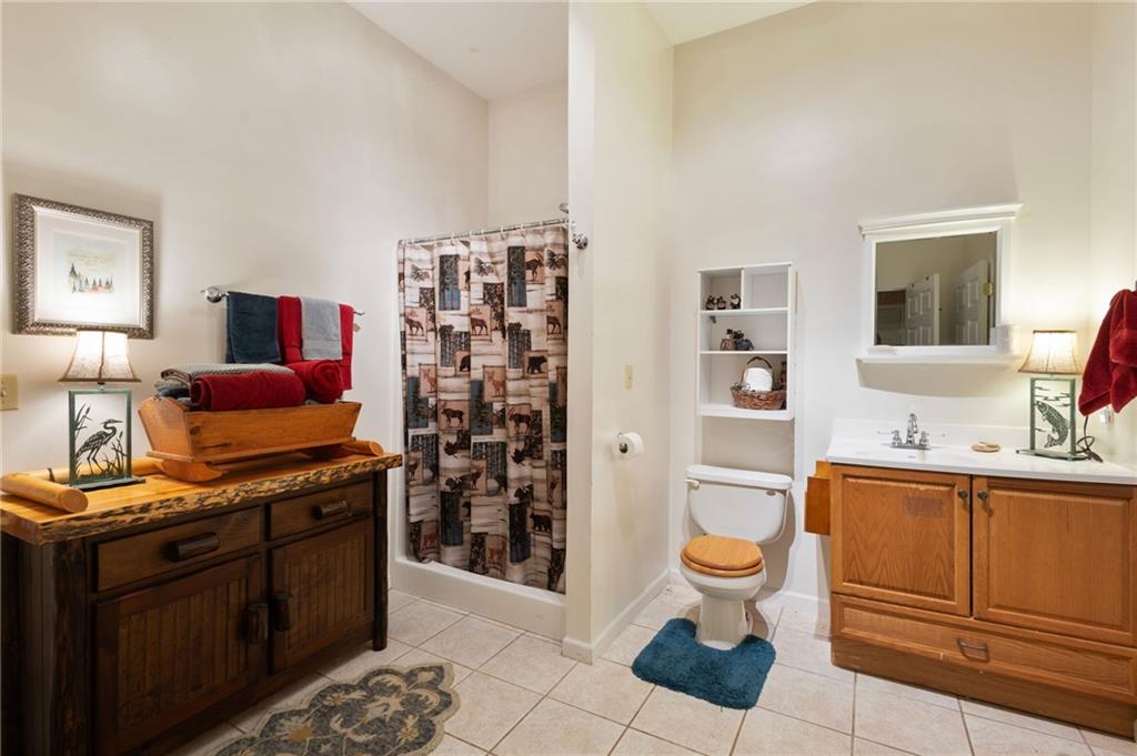 103 Twin Lakes Road Blue Ridge, GA 30513 - Photo 52 of 71 a spacious bathroom with a granite countertop sink toilet and shower