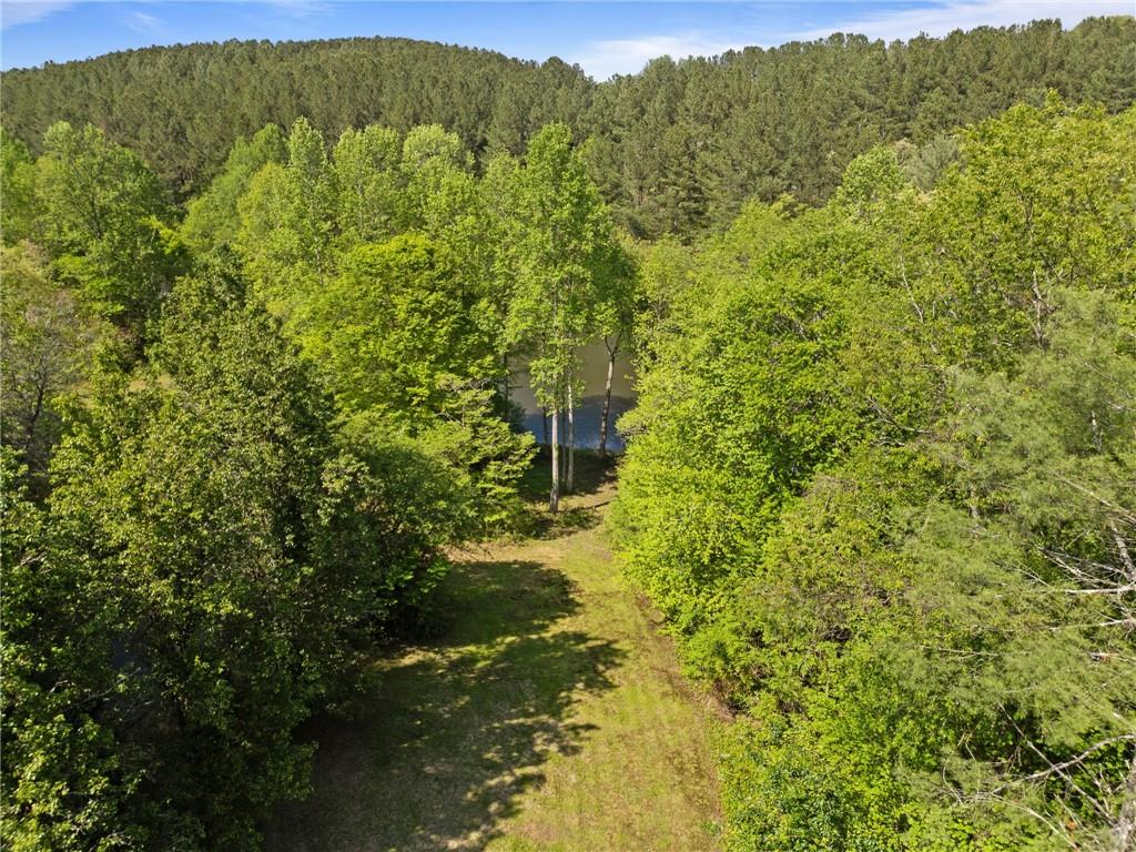103 Twin Lakes Road Blue Ridge, GA 30513 - Photo 6 of 71 a view of a forest with a house