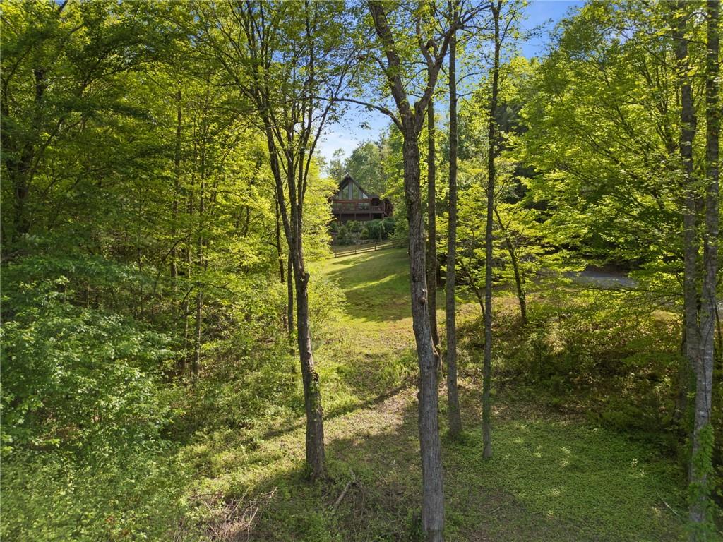 103 Twin Lakes Road Blue Ridge, GA 30513 - Photo 69 of 71