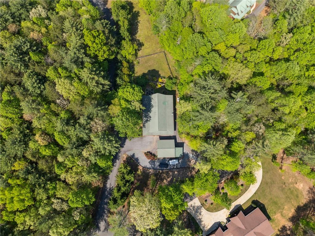 103 Twin Lakes Road Blue Ridge, GA 30513 - Photo 70 of 71