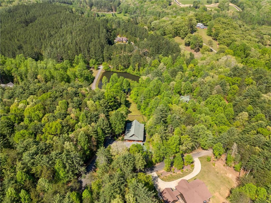 103 Twin Lakes Road Blue Ridge, GA 30513 - Photo 71 of 71