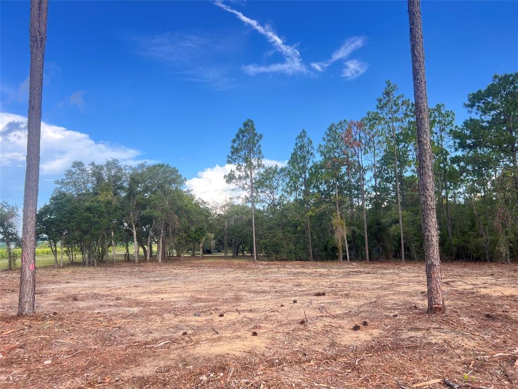 Levy Street Williston, FL 32696 - Photo 18 of 26