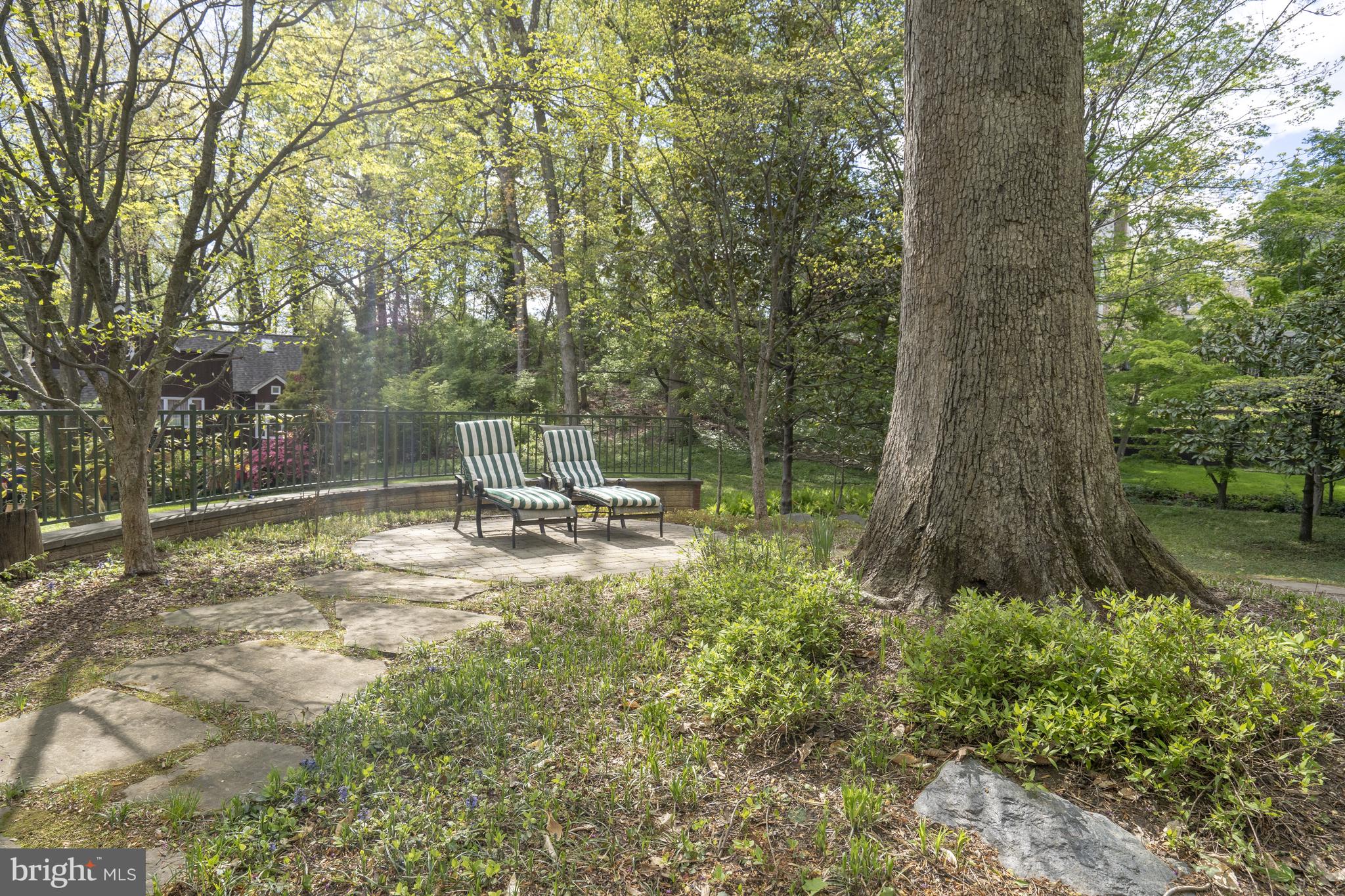 5402 Tuscarawas Road Bethesda, MD 20816 - Photo 53 of 55 a view of a yard with a tree