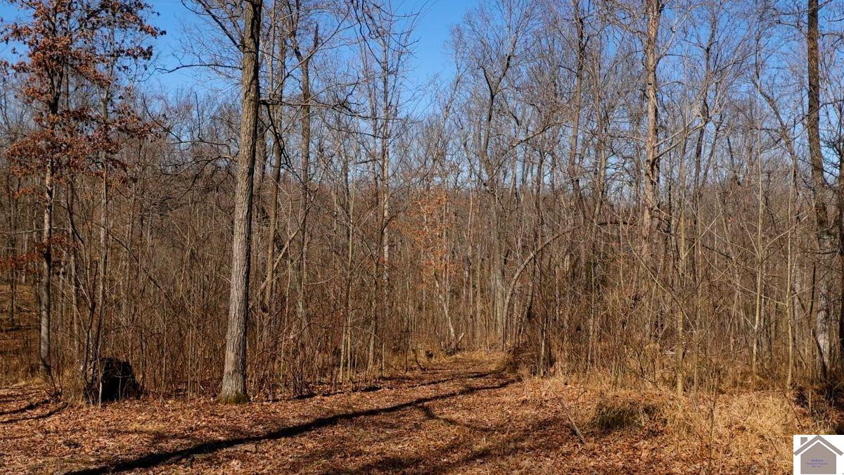 0 Wray Road Wingo, KY 42088 - Photo 35 of 39 Photo 35
