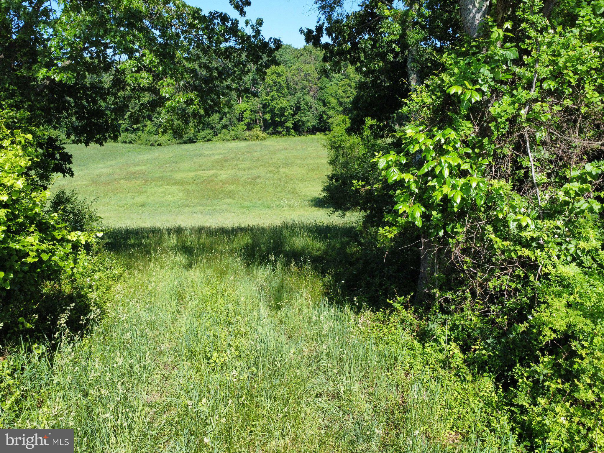 970 Doe Run Road East Fallowfield, PA 19320 - Photo 7 of 16 a view of a garden with a lake