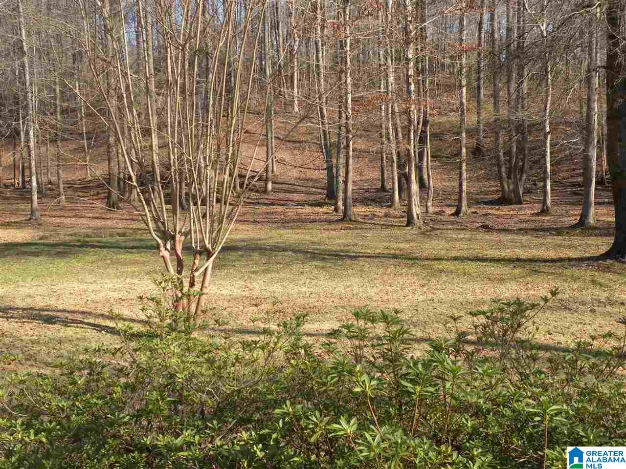 115 Savannah Ridge Sylacauga, AL 35150 - Photo 30 of 34