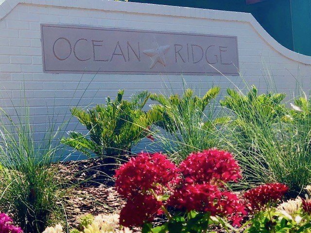 240 Ridgeway Road, Unit LOT 4 St. Augustine Beach, FL 32080 - Photo 3 of 8 a sign that is in front of flowers