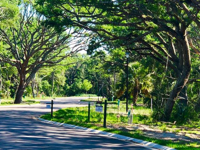 240 Ridgeway Road, Unit LOT 4 St. Augustine Beach, FL 32080 - Photo 5 of 8 a view of park with trees