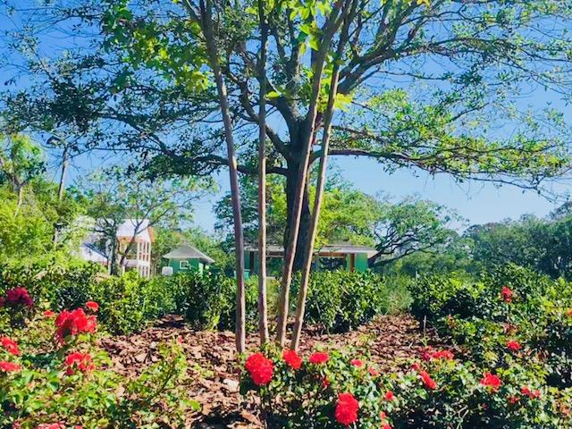 240 Ridgeway Road, Unit LOT 4 St. Augustine Beach, FL 32080 - Photo 7 of 8 a view of a garden with flowers and trees