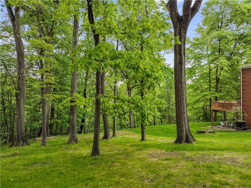 4914 Simmons Circle Export, PA 15632 - Photo 30 of 33 a backyard of a house with lots of green space