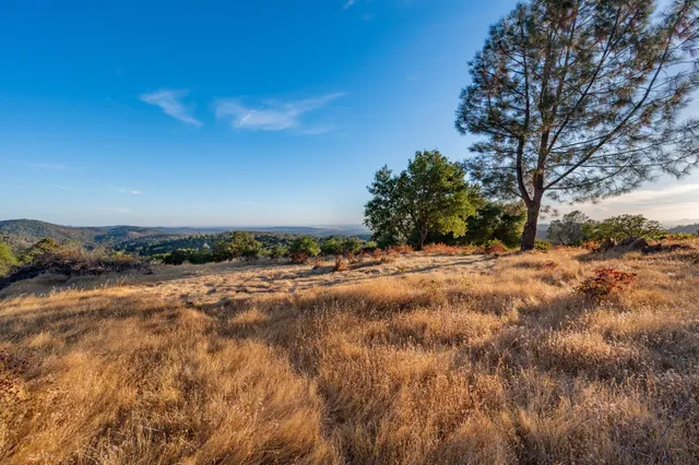 a view of mountain view with lots of trees