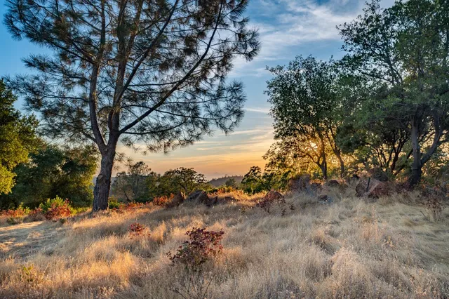 a view of snow covered with trees