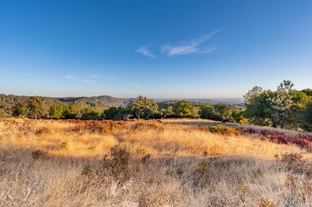 a view of dirt yard with a tree