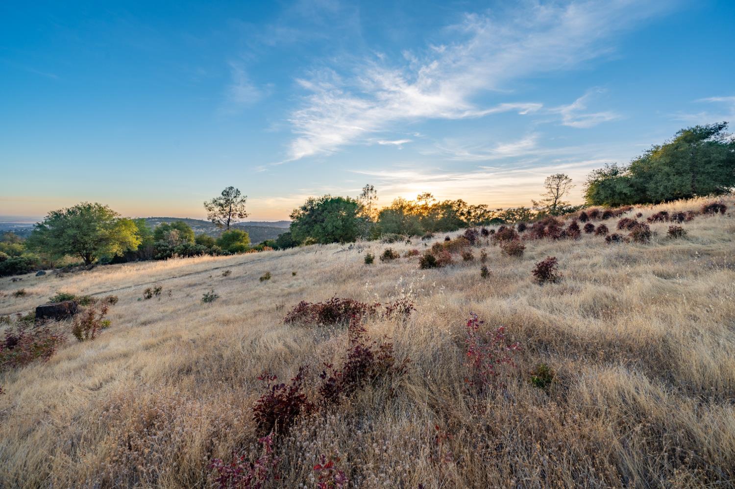 21088 Dalzell Road Smartsville, CA 95977 - Photo 18 of 36 a view of a dry field