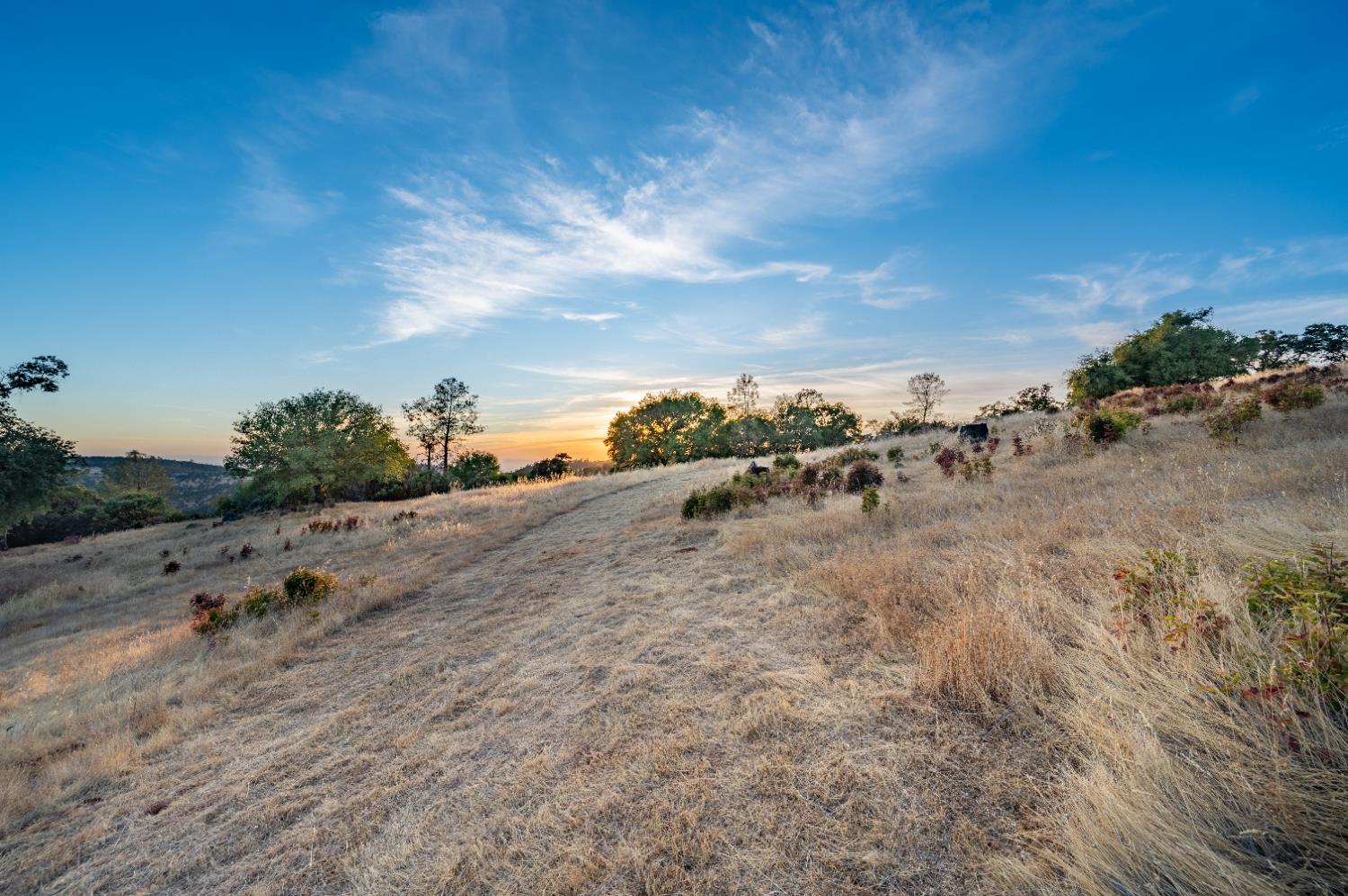 21088 Dalzell Road Smartsville, CA 95977 - Photo 19 of 36 a view of a dry yard with lots of trees