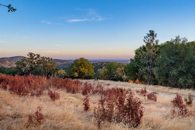 a view of a yard with wooden fence