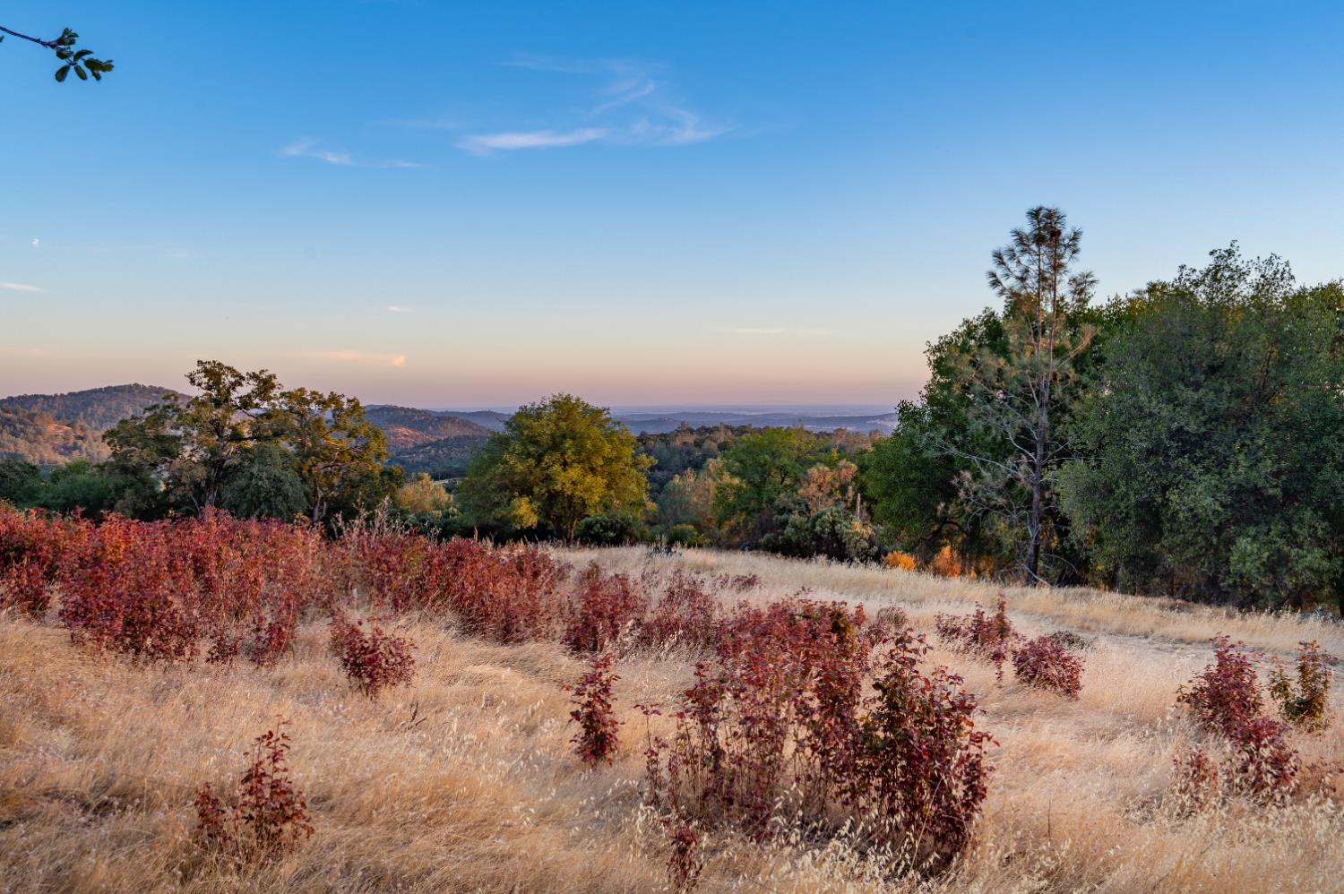 21088 Dalzell Road Smartsville, CA 95977 - Photo 2 of 36
