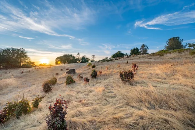 a view of a dry yard with wooden fence