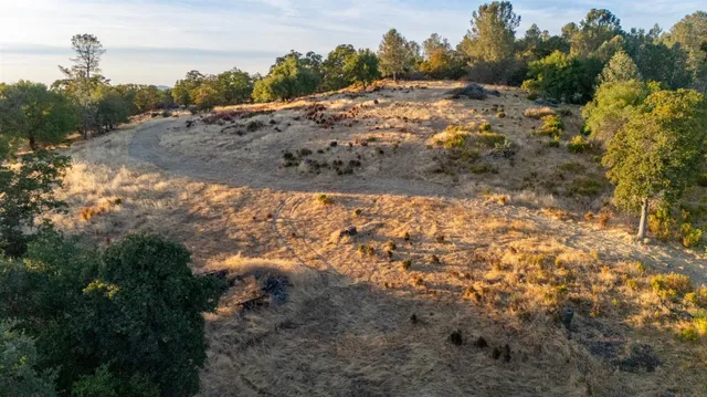 a view of a yard with a tree
