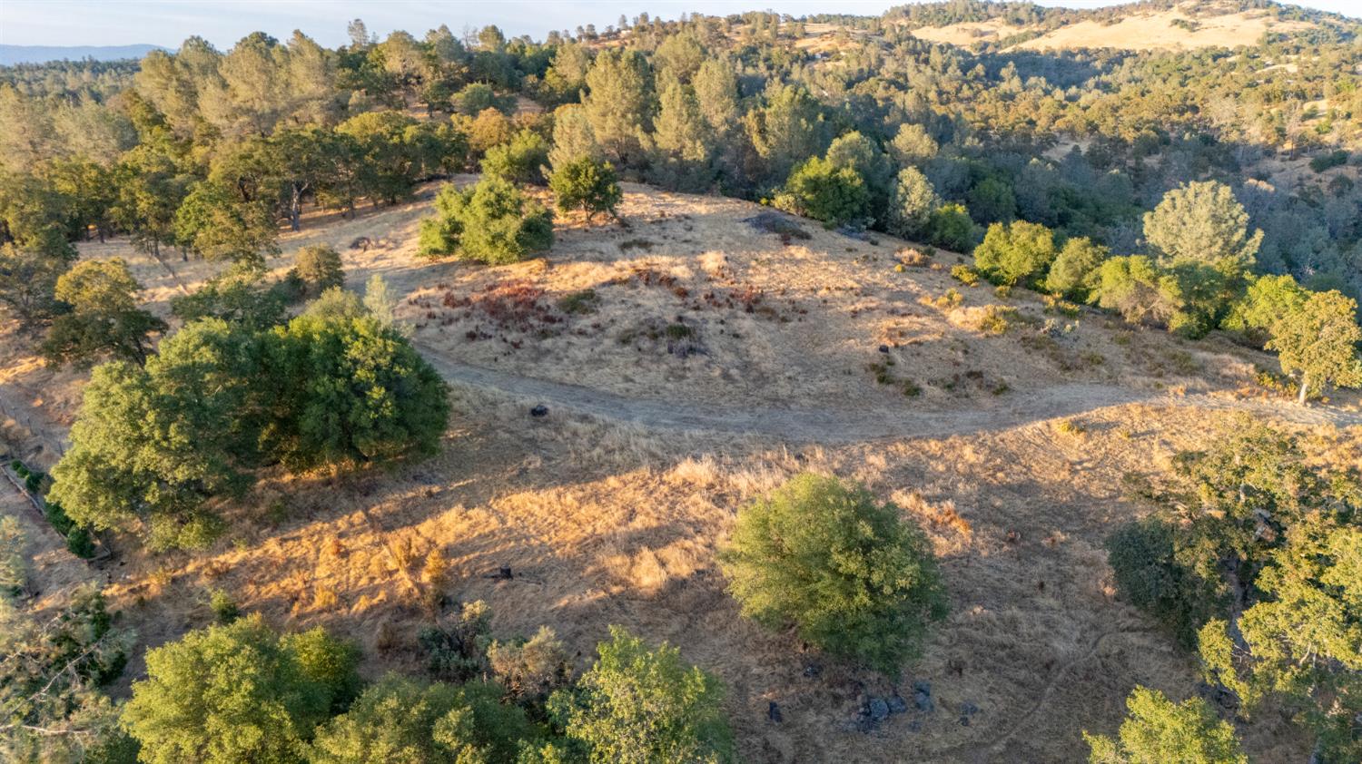 21088 Dalzell Road Smartsville, CA 95977 - Photo 26 of 36 a view of a yard with a tree