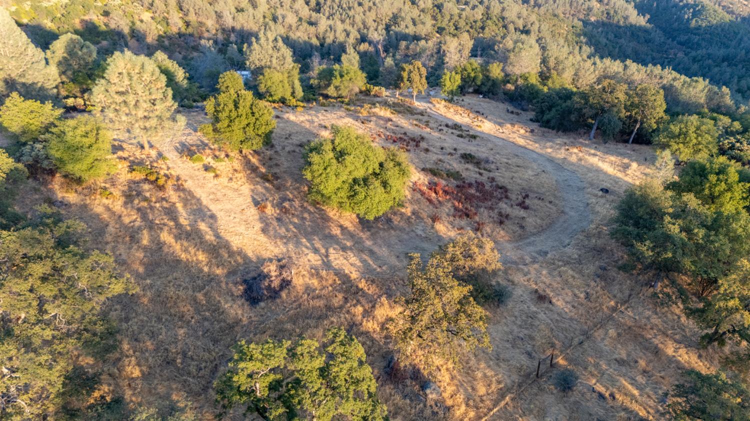 21088 Dalzell Road Smartsville, CA 95977 - Photo 27 of 36 a view of a yard with plants