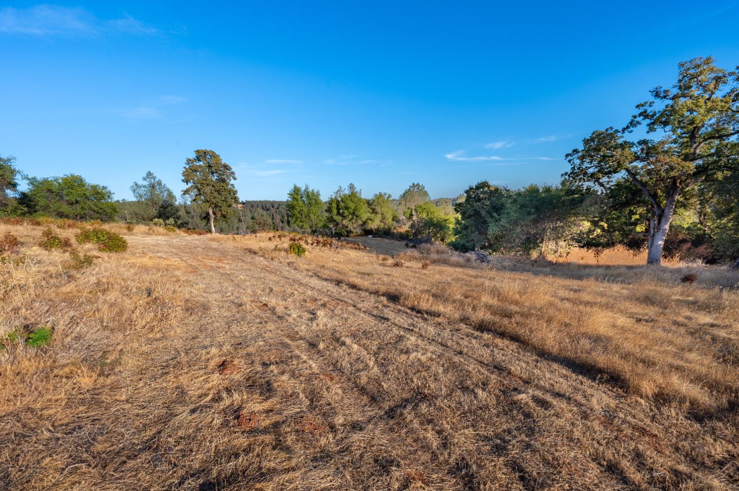 21088 Dalzell Road Smartsville, CA 95977 - Photo 5 of 36 a view of a road with a trees in the background