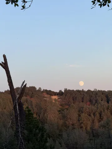 a view of a road with a pathway