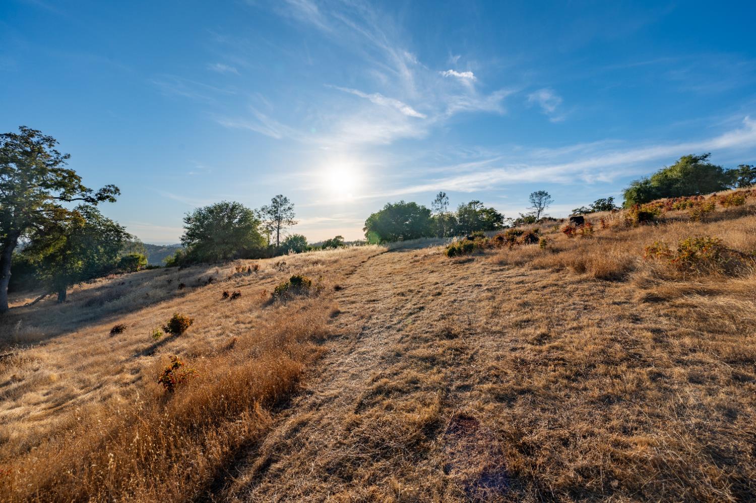 21088 Dalzell Road Smartsville, CA 95977 - Photo 7 of 36 a view of a road with a pathway