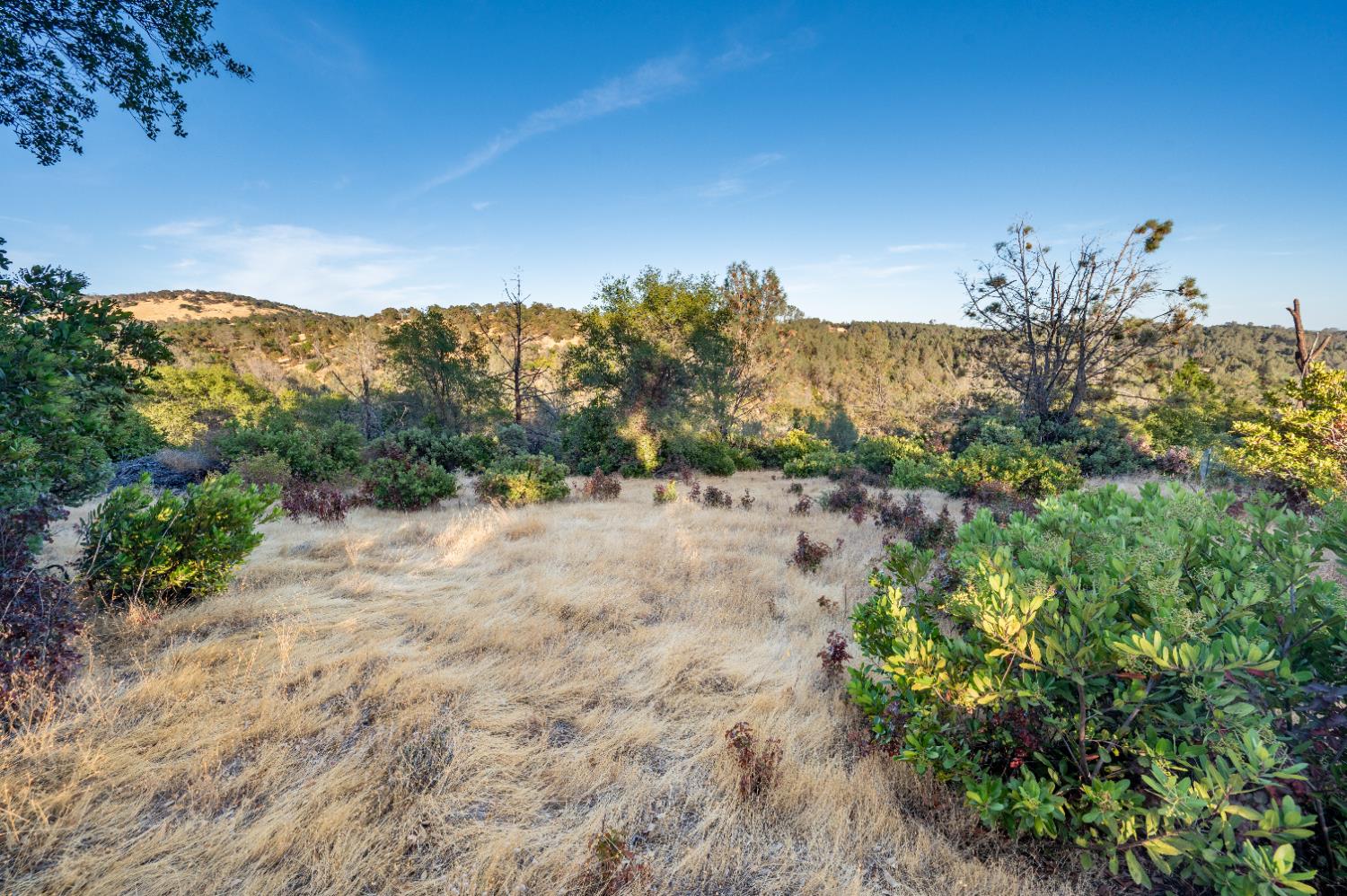21088 Dalzell Road Smartsville, CA 95977 - Photo 8 of 36 a view of a houses with a yard