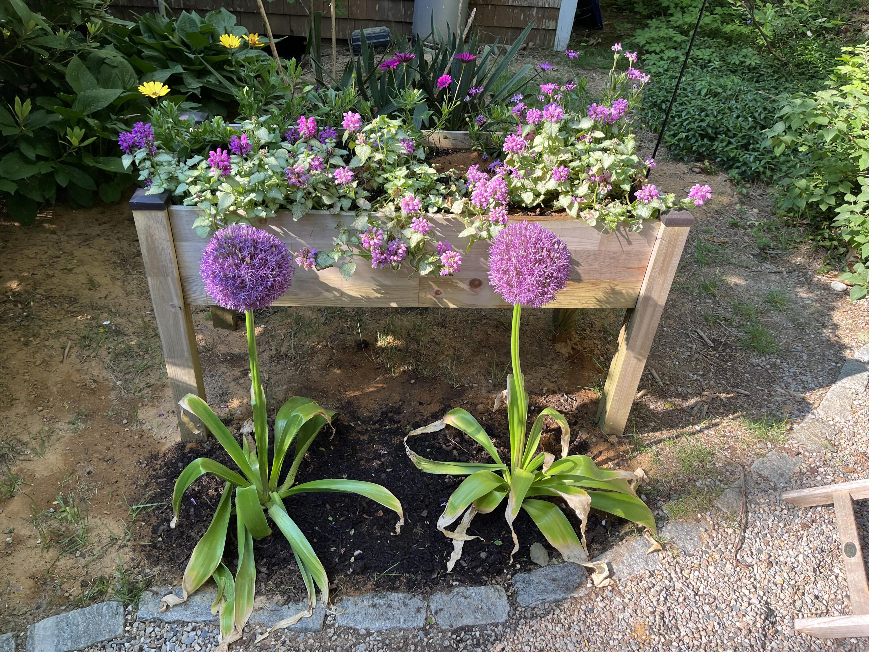 82 Shore Road, Unit 9 Truro, MA 02666 - Photo 36 of 36 a view of a flower filled with flowers