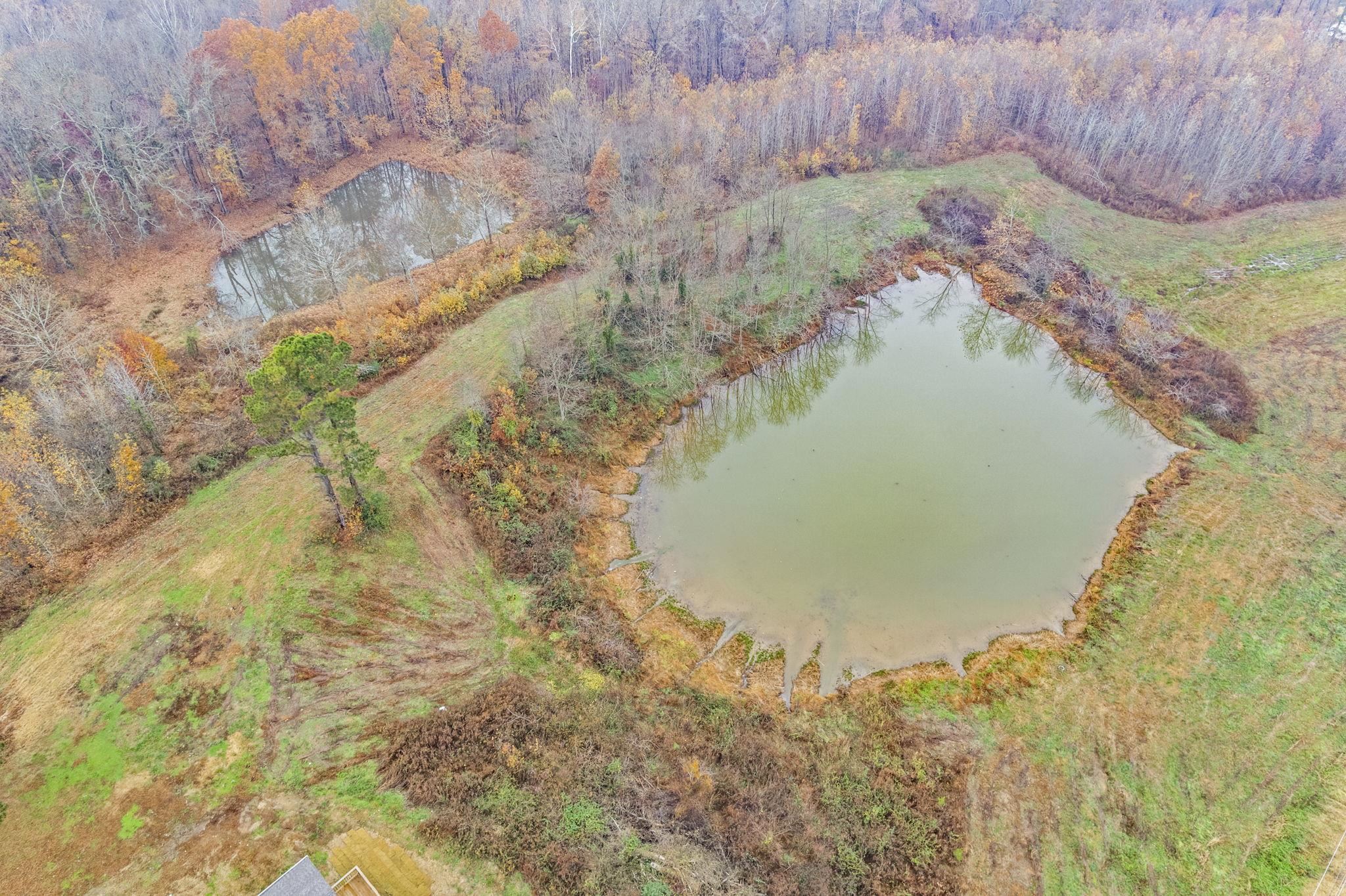 835 Curve Woodville Road Gates, TN 38037 - Photo 30 of 30 Bird's eye view of a large body of water and a heavily wooded area