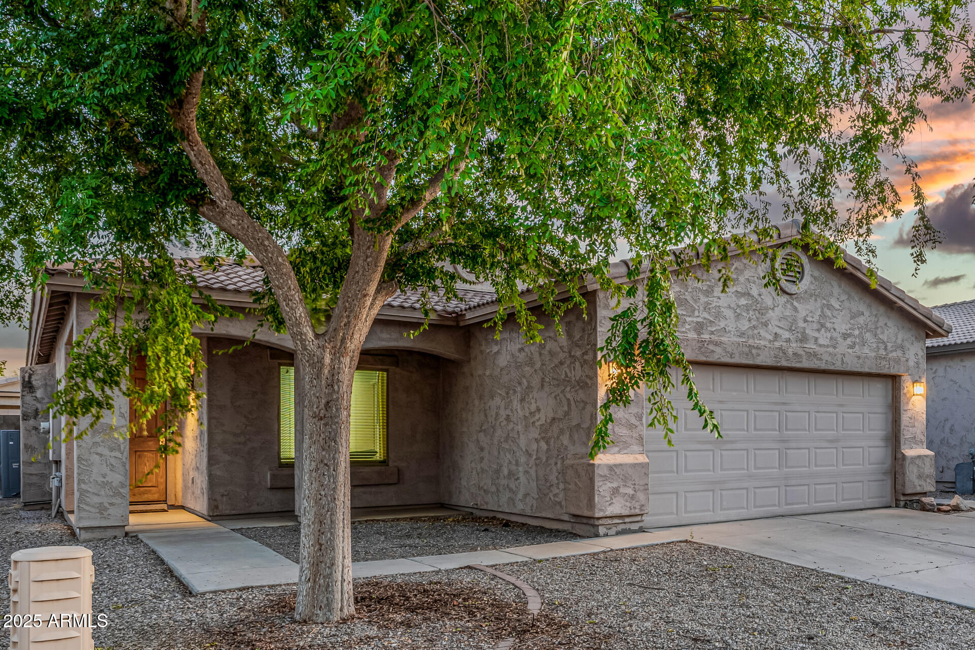 241 Mountain View Road San Tan Valley, AZ 85143 - Photo 6 of 62 a front view of a house with a tree